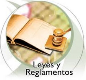 Gesti&oacute;n p&uacute;blica del turismo II: Organizaci&oacute;n Institucional del Turismo