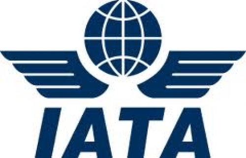 La demanda por los viajes a&eacute;reos se contraer&aacute; en 2013 seg&uacute;n IATA