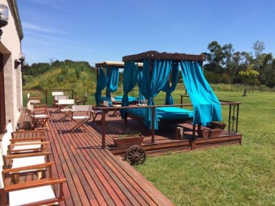 Chacra Los Ceibos: Un nuevo "D&oacute;nde" para eventos en Punta del Este