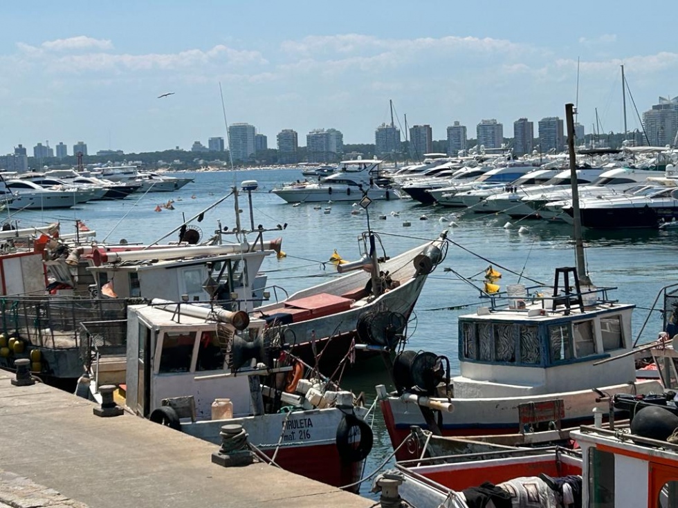 Cuidemos el producto "Destino Uruguay" y tengamos memoria