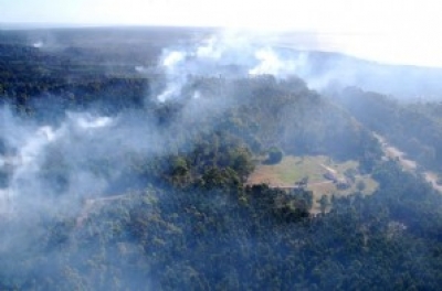  Cortan la ruta 9 para combatir incendio forestal en Rocha