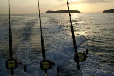 Panam&aacute;, el para&iacute;so de los peces