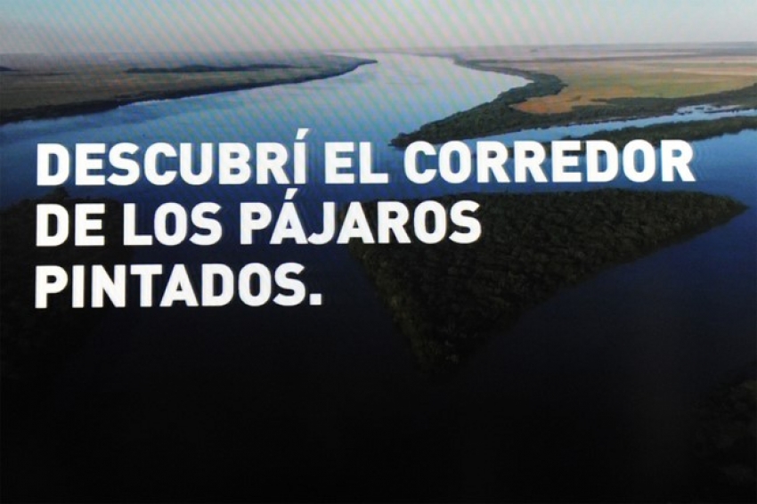 "Corredor de los p&aacute;jaros pintados" parte II. Burdo manejo (UNA VEZ M&Aacute;S) de los datos estad&iacute;sticos del Mintur