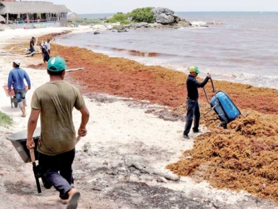 En Tulum, la limpieza de playas llega a realizarse hasta dos veces al d&iacute;a. El sargazo impide actividades acu&aacute;ticas porque se afecta la maquinaria de los equipos. Foto: Reuters/Archivo