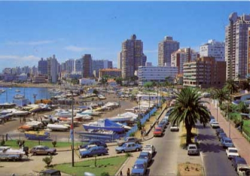 Con empresarios as&iacute;, Punta del Este no precisa enemigos