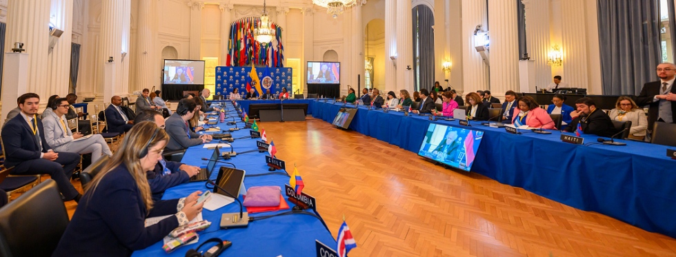 FEDESUD llev&oacute; la voz del sector privado sudamericano ante la OEA