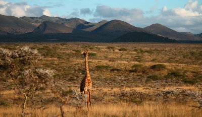 Etiop&iacute;a y Kenia, para viajeros atrevidos