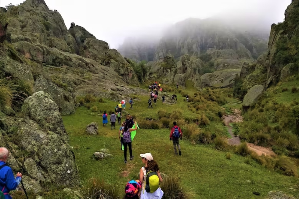 Valle de los lisos