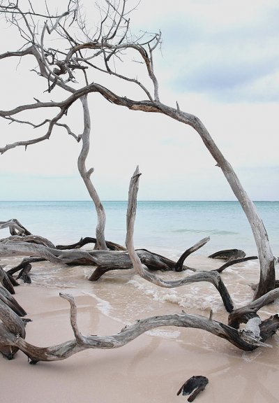 Los turistas pagaron una cobranza ilegal en playa cubana durante 15 a&ntilde;os, dice un peri&oacute;dico