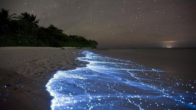 Vaadhoo, la playa que brilla en la oscuridad
