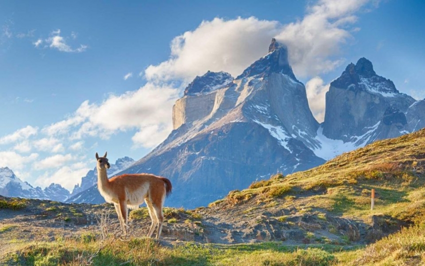 Planificaci&oacute;n p&uacute;blica del turismo II: evaluaci&oacute;n de la posici&oacute;n del turismo