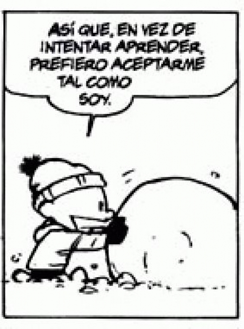 La cuesti&oacute;n argentina e internacional: somos incultos