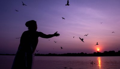 El Pantanal de Brasil, un para&iacute;so escondido de fauna salvaje