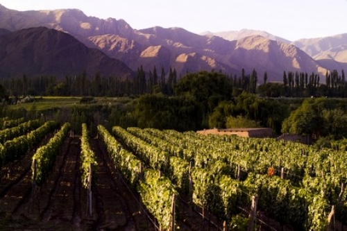 Salta integra el programa &ldquo;Tango en los caminos del Vino&rdquo;
