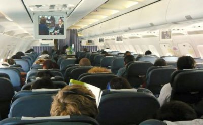Despiden a empleados por extrav&iacute;o de una perra