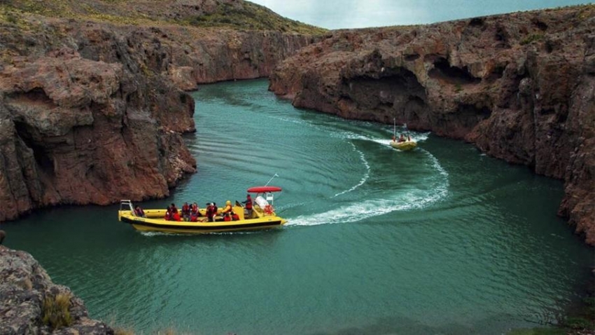 La fauna marina patag&oacute;nica se destaca entre los atractivos de la Ruta Azul