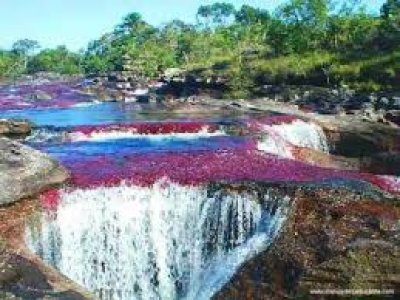 Colombia: restringen ingreso a Ca&ntilde;o Cristales