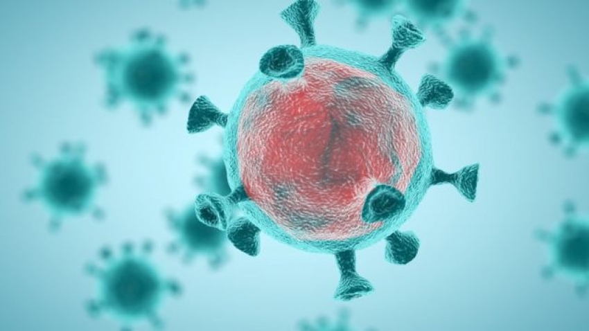 Cr&oacute;nica de pandemia