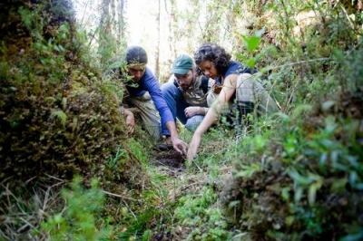  In&eacute;dita campa&ntilde;a ciudadana busca plantar un mill&oacute;n de &aacute;rboles en la Patagonia chilena