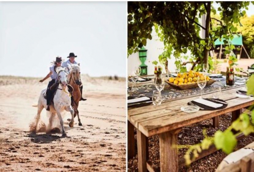 Surf,cabalgatas y vino en Uruguay