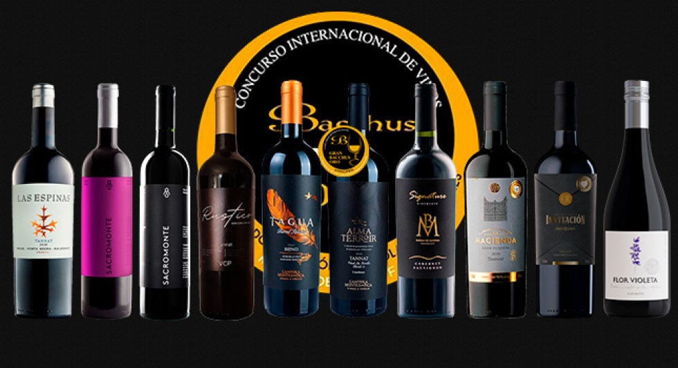 R&eacute;cord de vinos uruguayos premiados en Bacchus 2024