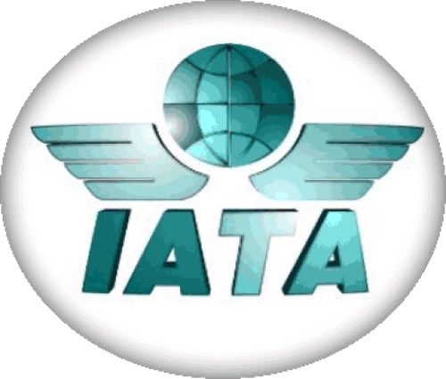 IATA, en desacuerdo con privatizaci&oacute;n de aeropuertos