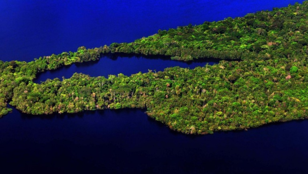 Ministerio de Turismo integra Plan de Prevenci&oacute;n y Control de la Deforestaci&oacute;n en la Amazon&iacute;a