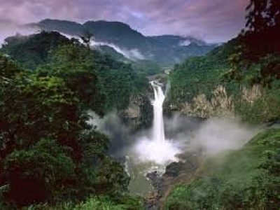 Gu&iacute;a sobre Reserva de la Bi&oacute;sfera Yasun&iacute;