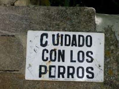 &iquest;Sale un porrito?